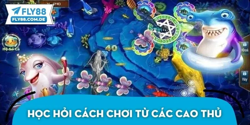 Học hỏi cách chơi bắn cá từ các cao thủ nhiều kinh nghiệm