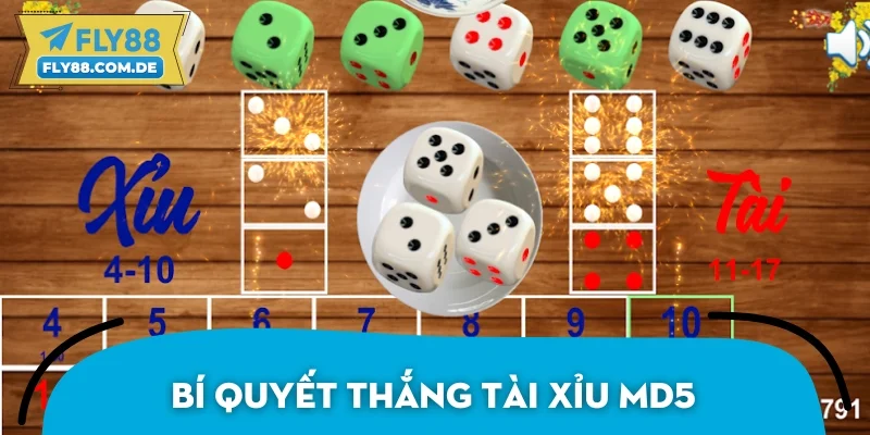 Kinh nghiệm chơi Tài xỉu MD5  